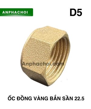 Ốc đồng vàng bắn sần 22.5