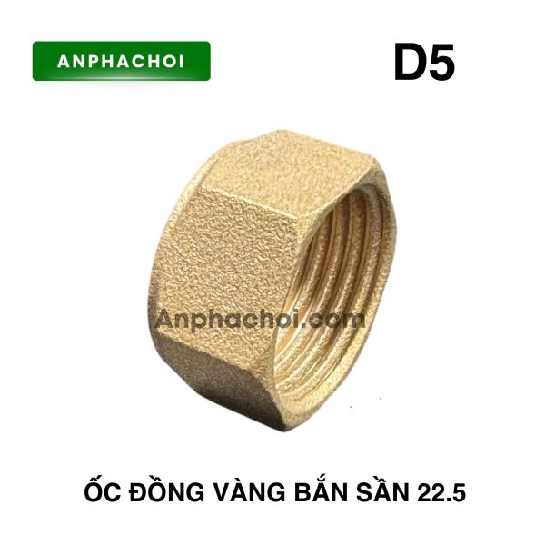 Ốc đồng vàng bắn sần 22.5